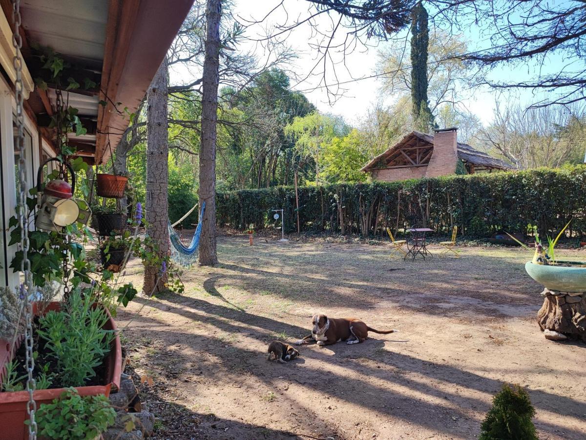 Сasa de vacaciones Casa Del Arroyo